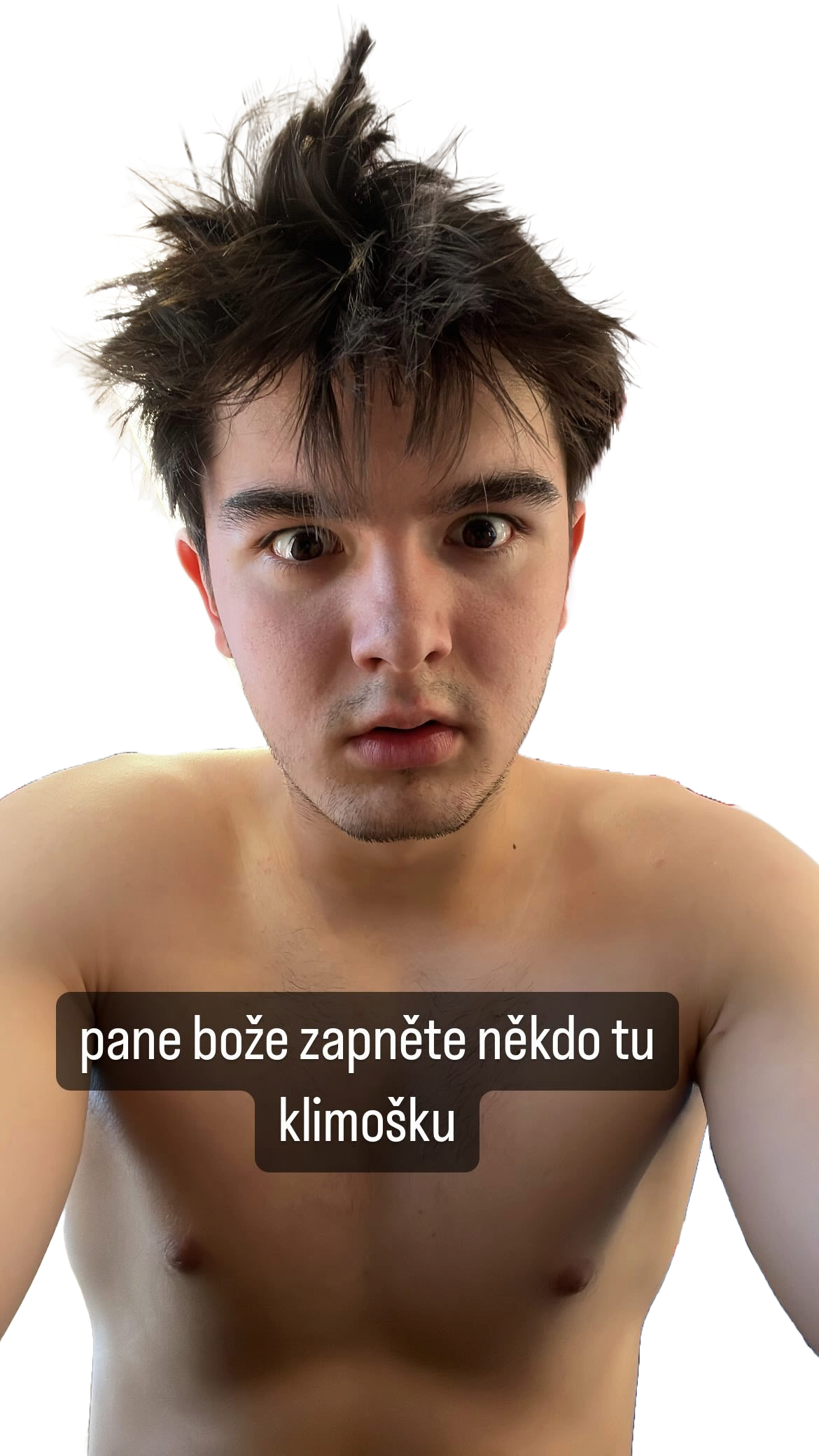 Portrét